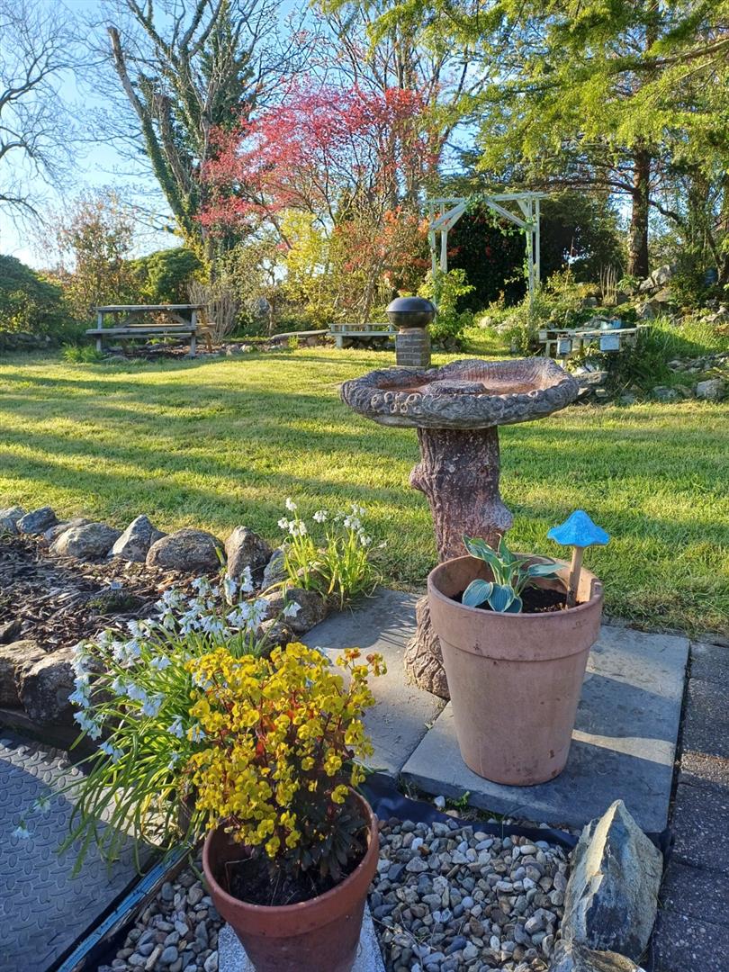 garden 3.jpg